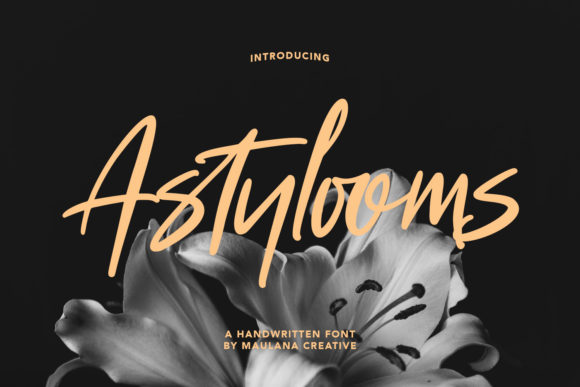 Astylooms: A Timeless Script Font