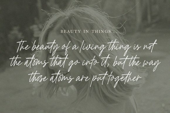 Golden Hopes: A Dazzling Script Font