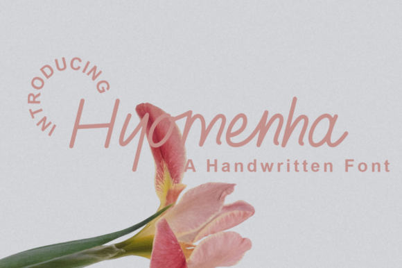 Hyomenha: A Elegant Font for Business