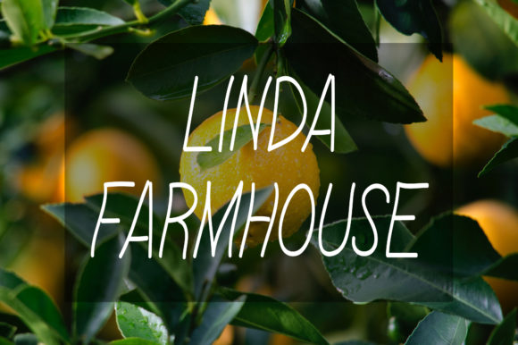 Linda Farmhouse Font for Business
