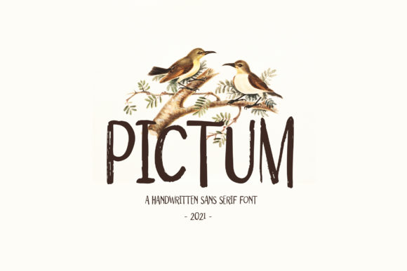 Pictum: A Quirky Display Font for Web Design