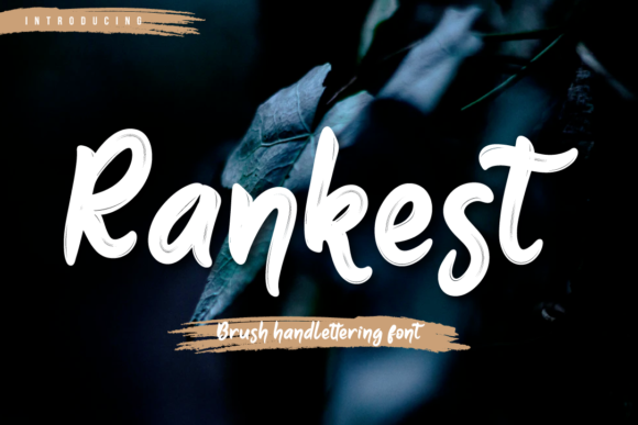 Rankest: A Brush Handwritten Font for Creative Projects