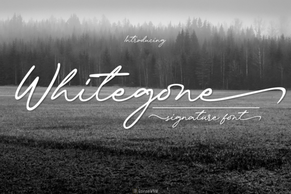 Whitegone: A Timeless Font for Your Brand