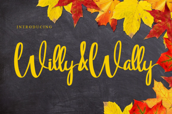 Willy Wally Font Review